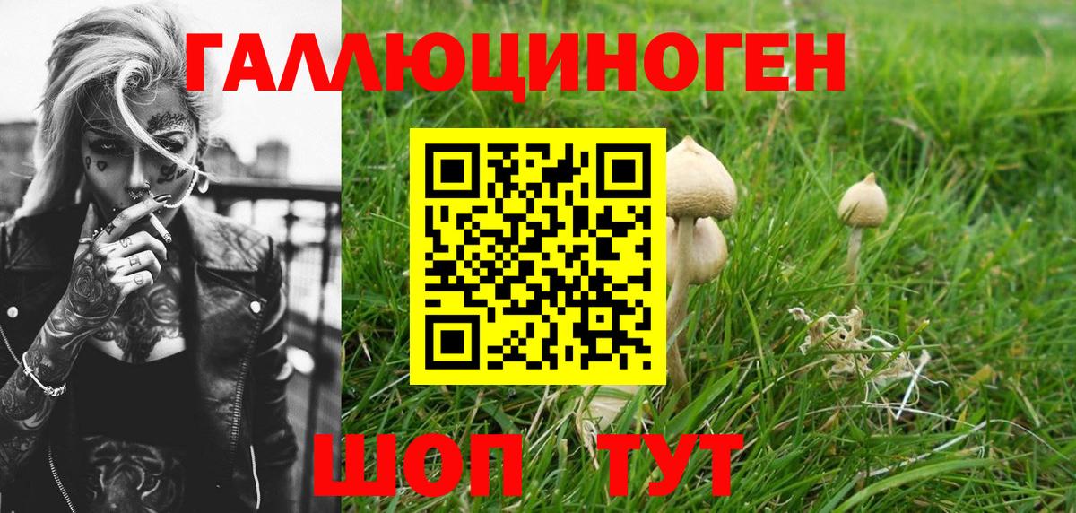 Зеленодольск  Галлюциногенные грибы прущие грибы  Вход с VPN  Галлюциногенные грибы мицелий 
